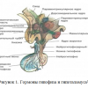 биологичексая химия 