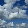 скан с работы