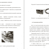  Применение ультразвуковых технологий
