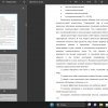 общество, человек
