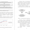 Расчеты по определению капитальных вложений