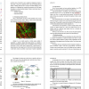 Deep learning, Neural networks