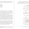 Stakeholder View of Firm