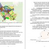  облик функционального зонирования г. Сосновый Бор