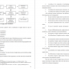 Type of supply chain "maximum"