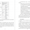 Layout der diskurslinguistischen Mehr-Ebenen-Analyse (DIMEAN) 