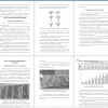 Ботаническая характеристика огурца