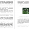 Морковник обыкновенный (Silaum silaus)