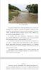 Влияние экологических аспектов