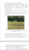 Анализ качества воды источника