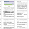 Стратегия компании и модель бизнеса