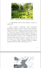 Борьба с Heracleum sosnovskyi
