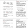  этапы инвестиционной фазы представлены