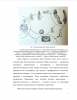 Распространение метацеркарий семейства Bucephalidae