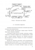 Влияние серобактерий на экологическое состояние
