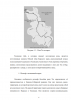 Сгонно-нагонные колебания уровня воды
