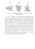 ИССЛЕДОВАНИЕ ПЕРИОДИЧЕСКОЙ ДЕФОРМАЦИИ НЕМАТИКА