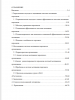 Содержание бакалаврской работы