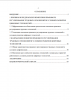 Содержание выпускной квалификационной работы