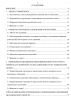 Содержание диссертации